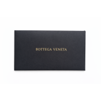 Bottega Veneta Olimpia Wallet on Chain / Clutch - Full set