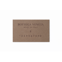 Bottega Veneta Olimpia Wallet on Chain / Clutch - Full set