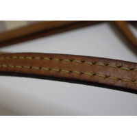 Louis Vuitton Neverfull MM Damier Azur 